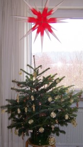 A Christmas Tree with a giant red star above.