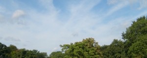 A cloudy blue sky on a sunny day in Warwickshire