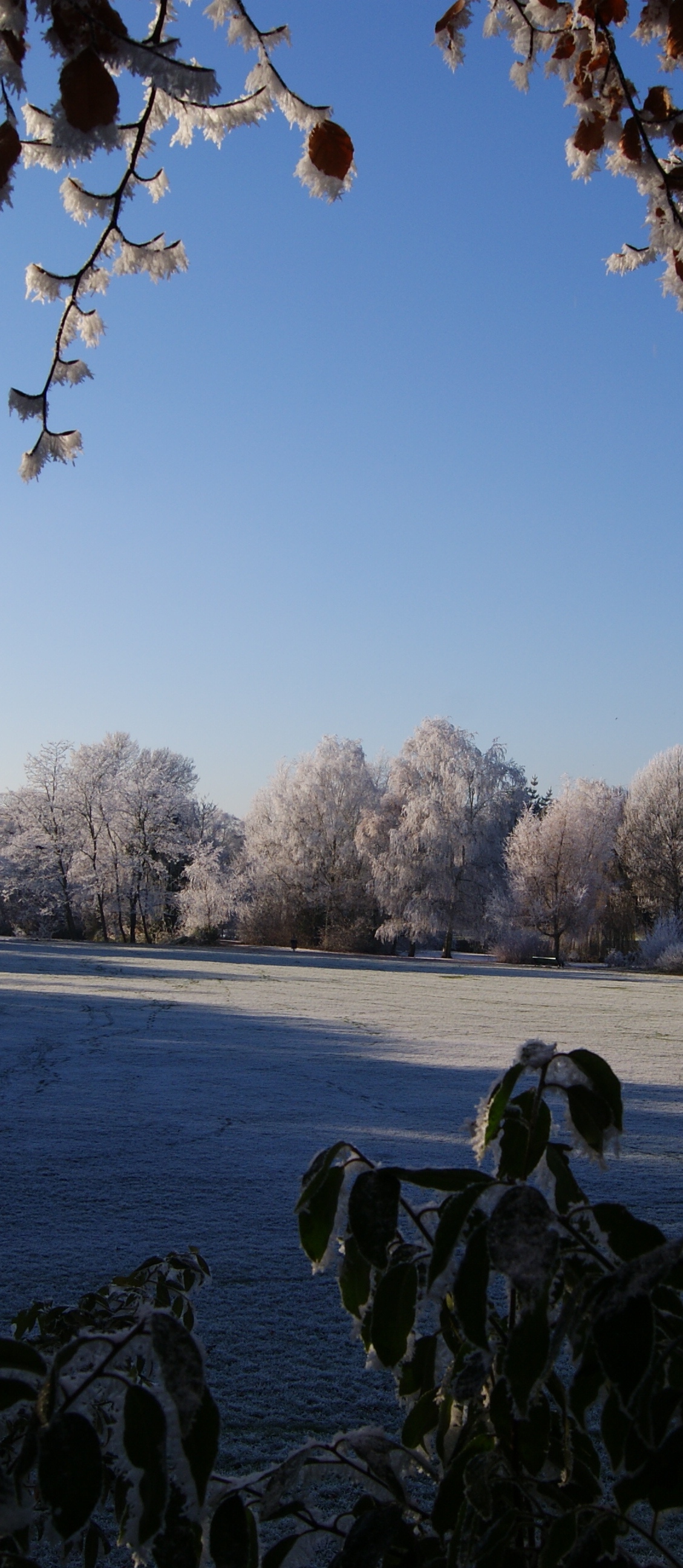 winterbackground.jpg The Jabberwocky Soliloquy